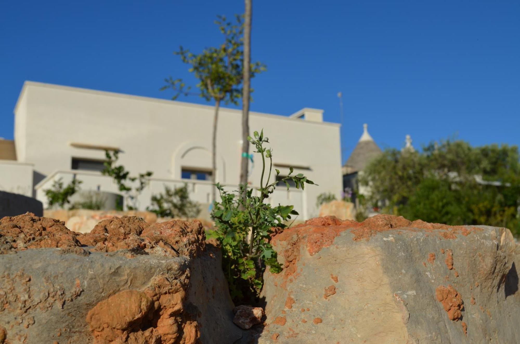 B&B Fuga Al Trullo Ostuni Kültér fotó